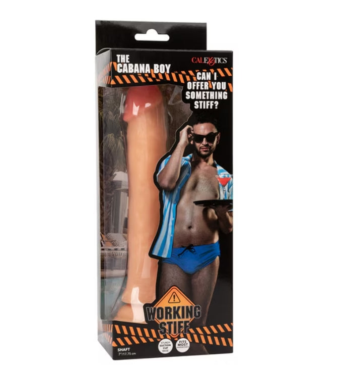 Working Stiff The Cabana Boy - Club X